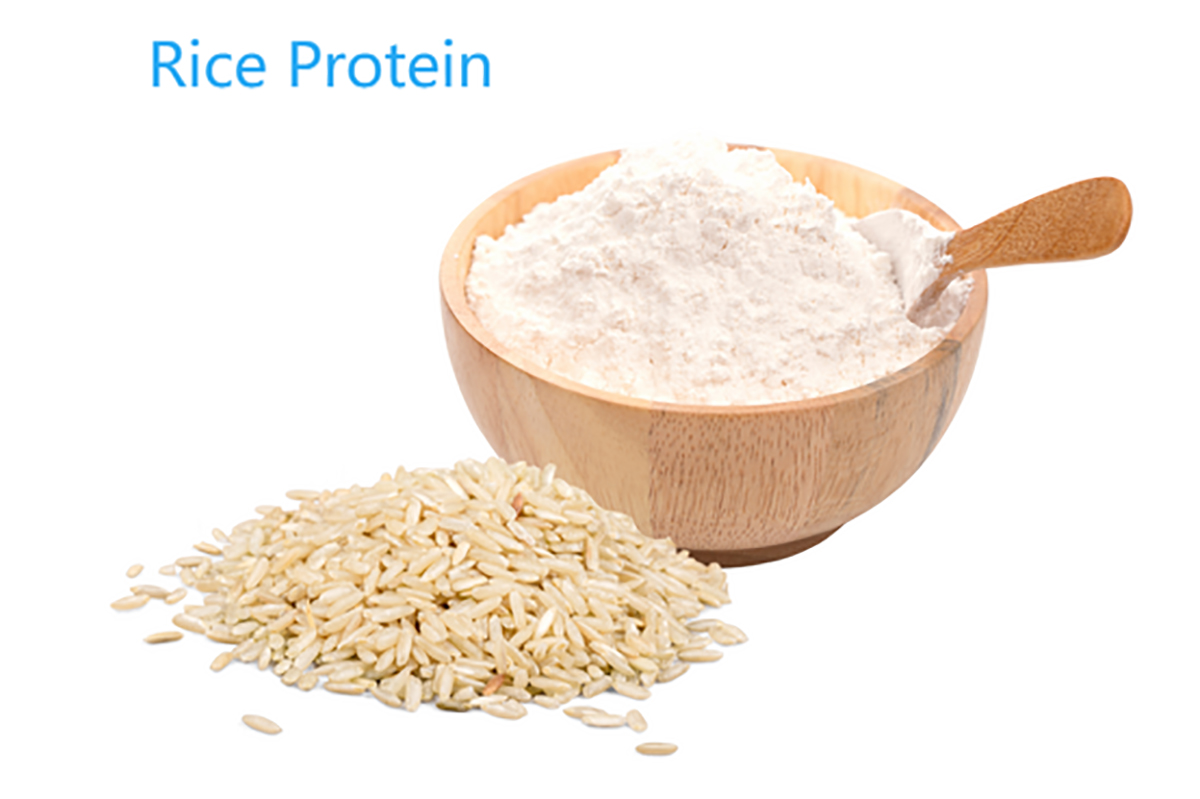 Reisprotein