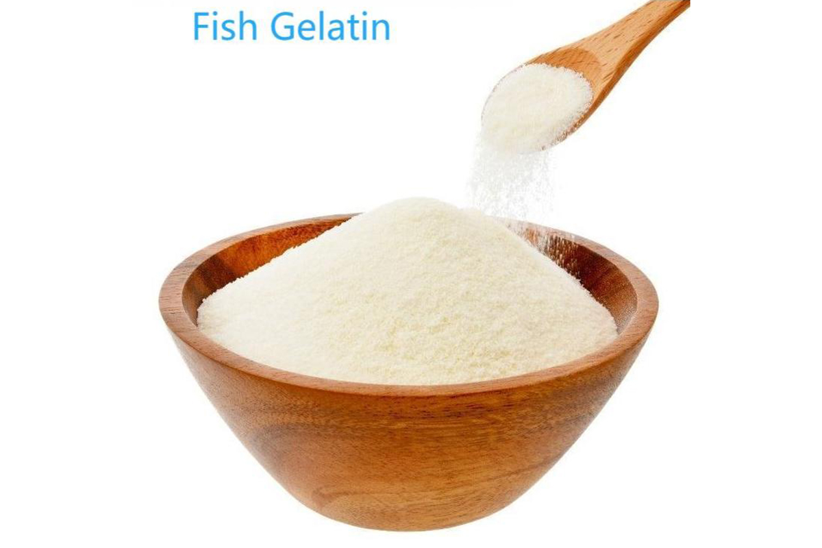 魚ゼラチン